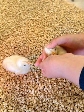 Moff animal world BIGHOPガーデンモール印西店に投稿された画像（2024/5/20）