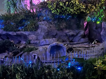 サンシャイン水族館に投稿された画像（2024/5/20）