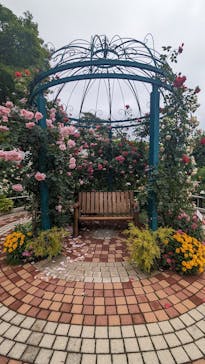 西武園ゆうえんちに投稿された画像（2024/5/20）