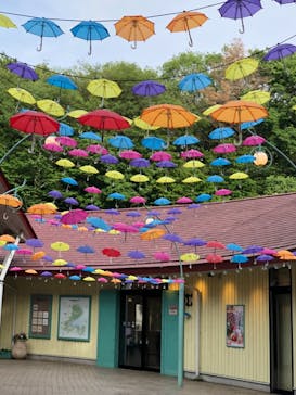 ムーミンバレーパークに投稿された画像（2024/5/20）