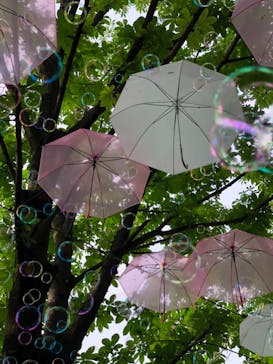 ムーミンバレーパークに投稿された画像（2024/5/20）