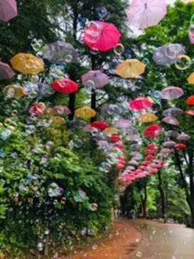 ムーミンバレーパークに投稿された画像（2024/5/20）