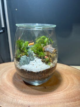 Terrariums メトロ・エム後楽園店に投稿された画像（2024/5/20）