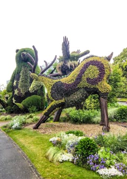 浜名湖花博2024に投稿された画像（2024/5/20）