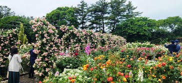 浜名湖花博2024に投稿された画像（2024/5/20）