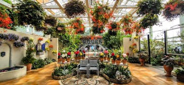 浜名湖花博2024に投稿された画像（2024/5/20）