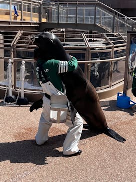 アクアワールド茨城県大洗水族館に投稿された画像（2024/5/20）