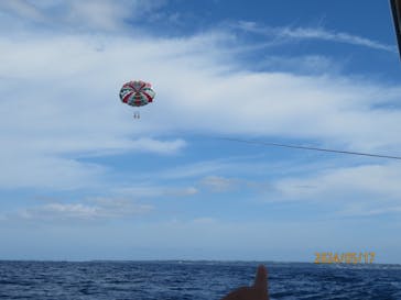 Sea World（シーワールド）に投稿された画像（2024/5/20）