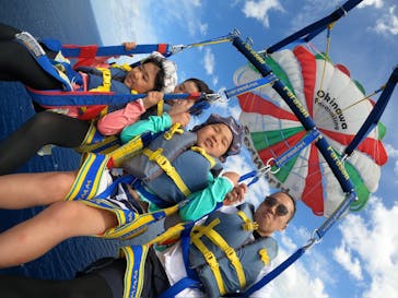 Sea World（シーワールド）に投稿された画像（2024/5/20）