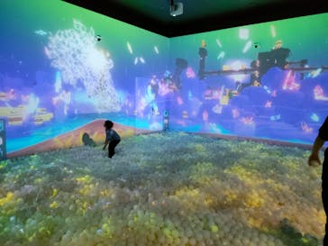 リトルプラネット ららぽーと和泉に投稿された画像（2024/5/20）