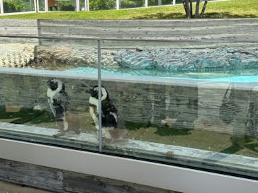 マリンワールド海の中道に投稿された画像（2024/5/21）