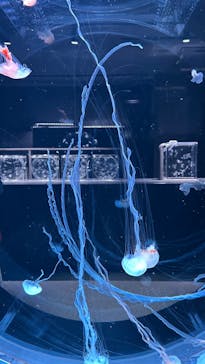 AOAO SAPPOROに投稿された画像（2024/5/21）