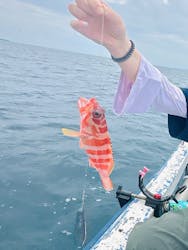 釣り船石垣島に投稿された画像（2024/5/21）