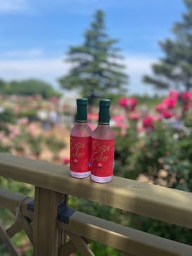 京成バラ園に投稿された画像（2024/5/21）