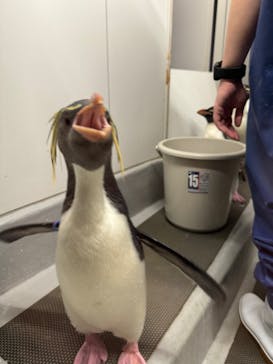 AOAO SAPPOROに投稿された画像（2024/5/21）