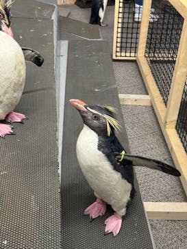 AOAO SAPPOROに投稿された画像（2024/5/21）