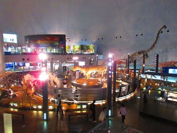 福井県立恐竜博物館に投稿された画像（2024/5/21）