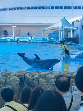 名古屋港水族館に投稿された画像（2024/5/21）