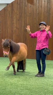 ノーザンホースパークに投稿された画像（2024/5/21）