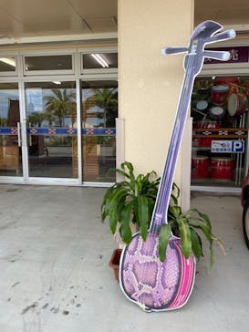 三線ショップ島風（しまかじ）に投稿された画像（2024/5/21）