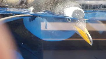 仙台うみの杜水族館に投稿された画像（2024/5/21）