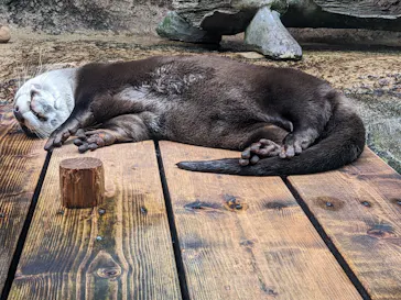 仙台うみの杜水族館に投稿された画像（2024/5/21）