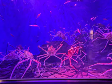 仙台うみの杜水族館に投稿された画像（2024/5/21）