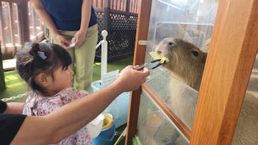 新江ノ島水族館に投稿された画像（2024/5/21）