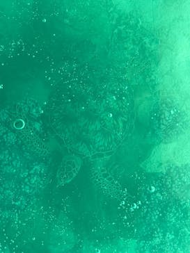 まりんはうすぐるくんに投稿された画像（2024/5/18）