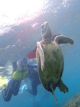 nico 宮古島に投稿された画像（2024/5/21）