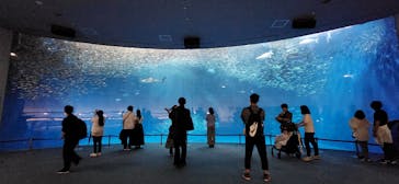 名古屋港水族館に投稿された画像（2024/5/21）