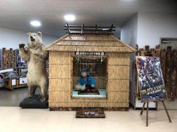 のぼりべつクマ牧場に投稿された画像（2024/5/21）