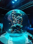 AQUARIUM × ART　atoaに投稿された画像（2024/5/21）