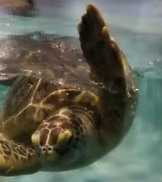 マリンワールド海の中道に投稿された画像（2024/5/21）