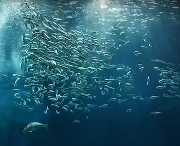 マリンワールド海の中道に投稿された画像（2024/5/21）