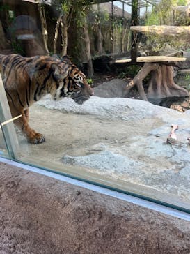 神戸どうぶつ王国に投稿された画像（2024/5/21）