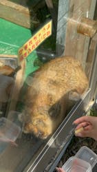 伊豆シャボテン動物公園に投稿された画像（2024/5/21）