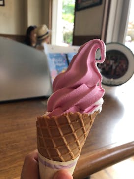 京成バラ園に投稿された画像（2024/5/21）