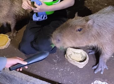 マクセル アクアパーク品川に投稿された画像（2024/5/21）