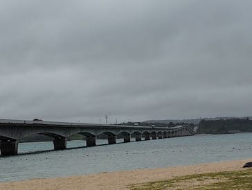 セルリアンブルーに投稿された画像（2024/5/21）