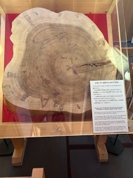 名古屋城に投稿された画像（2024/5/21）