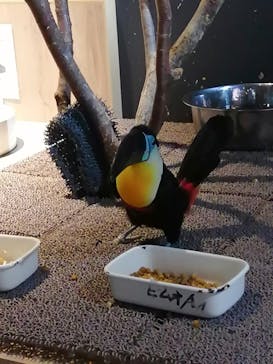 DMMかりゆし水族館に投稿された画像（2024/5/21）