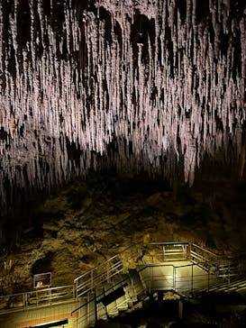 おきなわワールドに投稿された画像（2024/5/21）