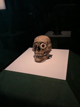 特別展「古代メキシコーマヤ、アステカ、テオティワカン」に投稿された画像（2023/8/29）