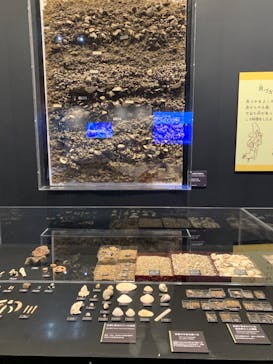特別展「海　―生命のみなもと―」名古屋市科学館に投稿された画像（2024/5/21）