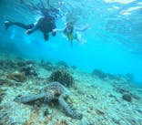 宮古島 ADVENTURE PiPi（ミヤコジマ アドベンチャー ピピ）に投稿された画像（2024/5/21）