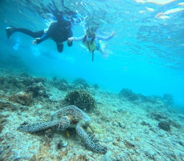 宮古島 ADVENTURE PiPi（ミヤコジマ アドベンチャー ピピ）に投稿された画像（2024/5/21）