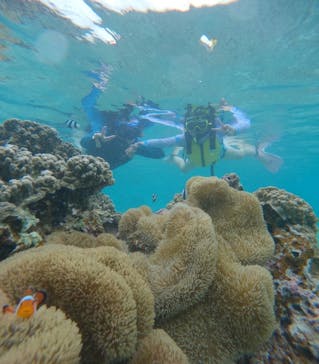 宮古島 ADVENTURE PiPi（ミヤコジマ アドベンチャー ピピ）に投稿された画像（2024/5/21）