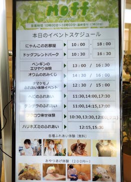 Moff animal world BIGHOPガーデンモール印西店に投稿された画像（2024/5/21）