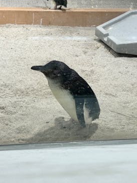 AOAO SAPPOROに投稿された画像（2024/5/21）